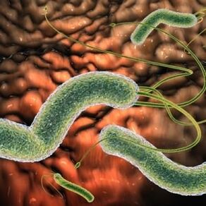 In vivo parasites
