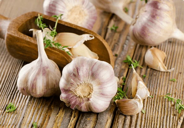 Worm's garlic
