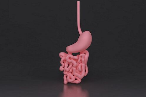 parasitic intestine