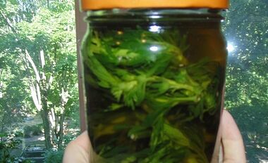 Herbal tin agents remove parasites from the body