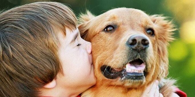 Boy kisses dog, infected with parasites